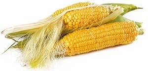 Corn and Soy Fillers corn filler