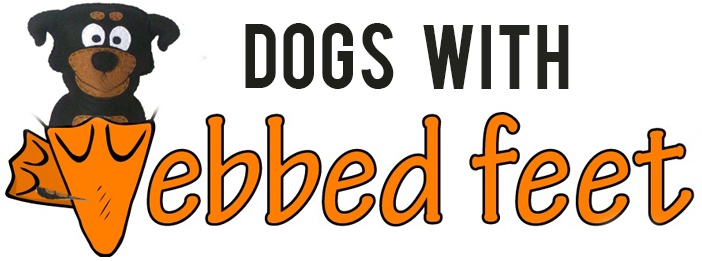 dogs with webbed feet paw dogs with webbed feet
