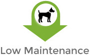 low Maintenance low Maintenance