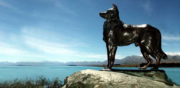 Dog-Memorial Dog Memorial