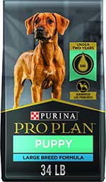 Purina-Pro-Plan-Focus-Puppy-Large-Breed Purina Pro Plan Focus Puppy Large Breed