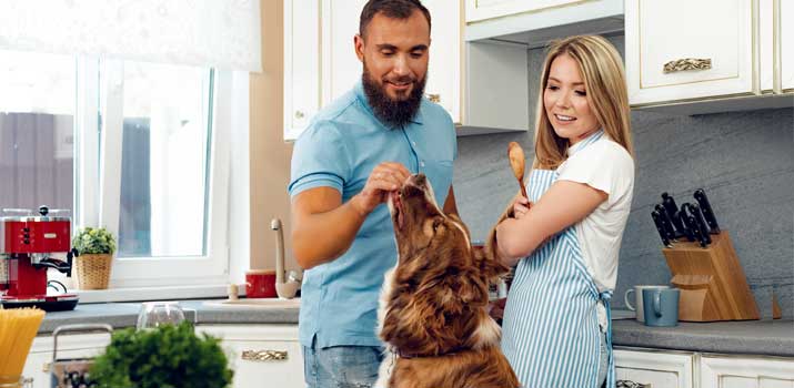 Feeding-a-dog-with-diabetes-a-proper-diet Feeding a dog with diabetes a proper diet