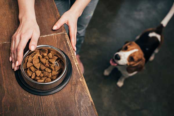 Food-Based-Diabetes-Management-in-dogs Food-Based Dog Diabetes Management
