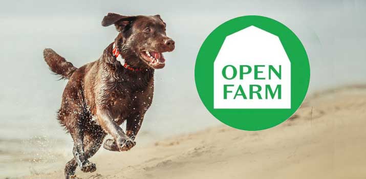 Open-Farm-Dog-Food-brand-review Open Farm Dog Food