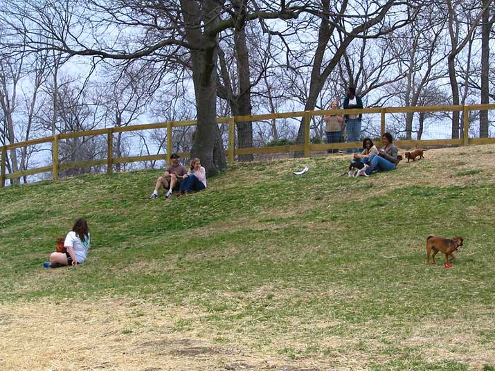 Centennial-Park-Small-Dog-Park-Nashville Centennial Park Small Dog Park Nashville