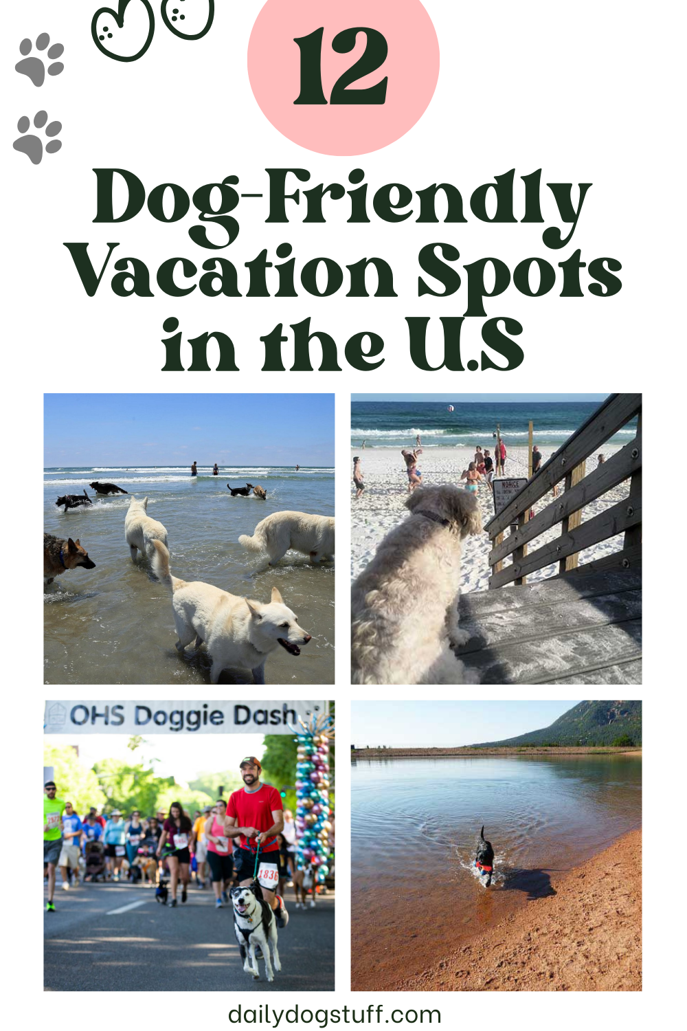 Dog friendly vacation spots in the US Dog friendly vacation spots in the US