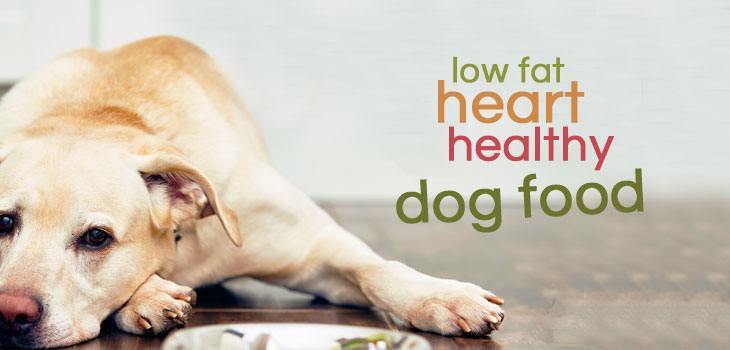 low-fat-hearth-healthy-dog-foof