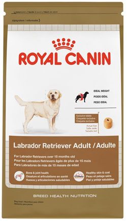 royal-canin-breed-health-nutrition-labrador-retriever-adult-dry-dog-food
