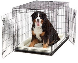 AmazonBasics Folding Metal Dog Crate
