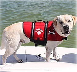 Paws Aboard Red Neoprene Life Jacket, Dog or Cat Life Preserver