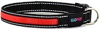 LED Dog Collar - Glow In The Dark - Makes Your Dog Visible And Safe At Night - Reflective Stitching