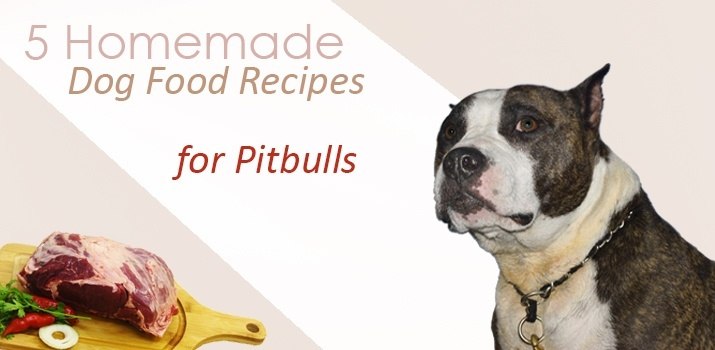 Pitbull Feeding Chart