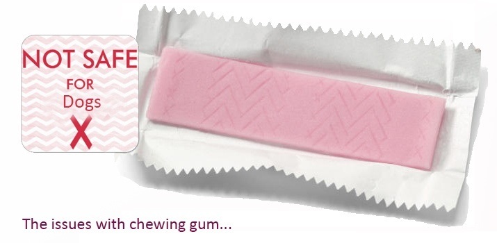 Chewing gum issues with dogs