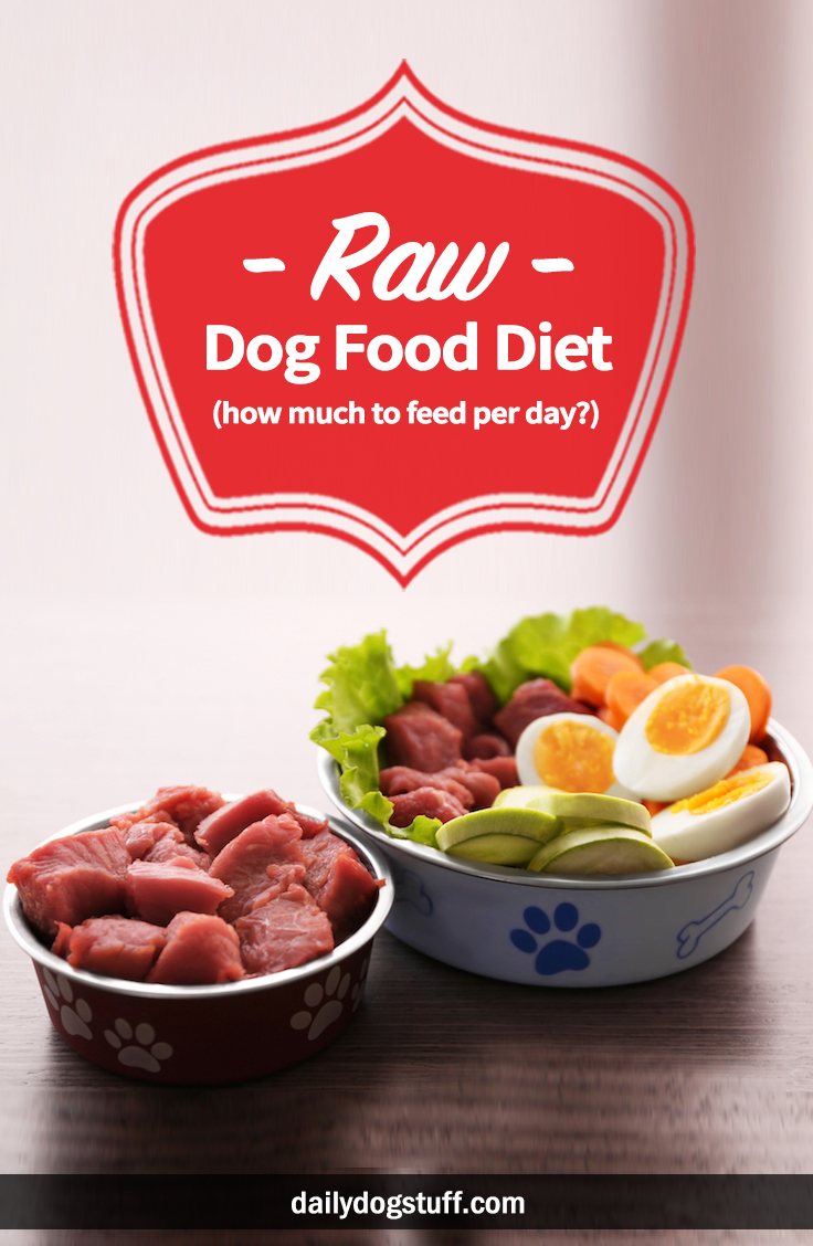 Raw Dog Food Diet (how much to feed per day?) Daily Dog