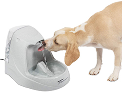 PetSafe Drinkwell Platinum Cat and Dog Water Fountain, Built-in Reservoir,Filtered Water for Your Pet, 168 oz. Water Capacity PetSafe Drinkwell Platinum Cat and Dog Water Fountain, Built-in Reservoir,Filtered Water for Your Pet, 168 oz. Water Capacity