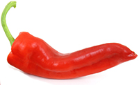 hot pepper