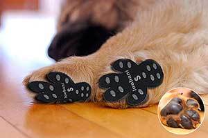 LOOBANI PadGrips 48 Pads丨Dog Paw Protector Traction Pads to Keeps Dogs from Slipping On Hard Floors丨Walk Assistant for Your Senior Dogs