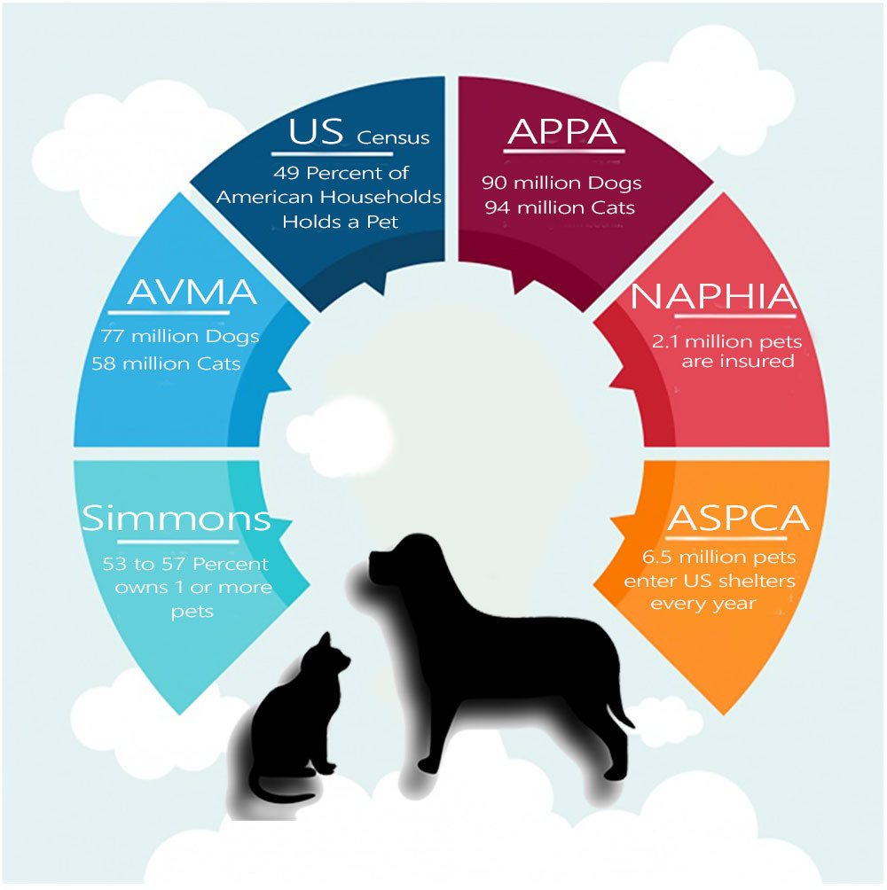 US Pet Ownership Statistics Chart