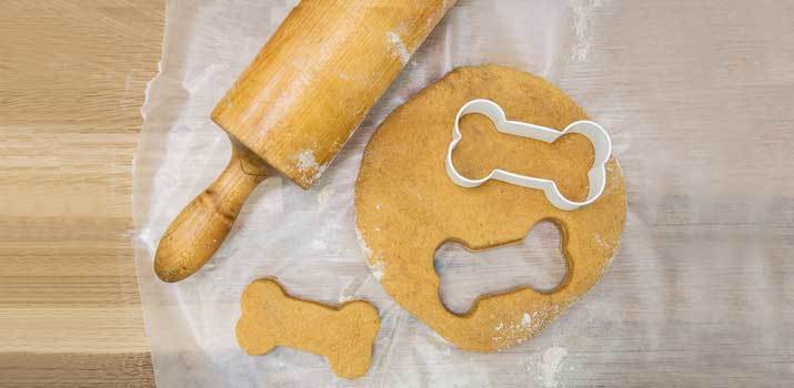 homemade dog treats with chicken broth