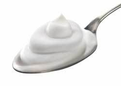 Yogurt Yogurt