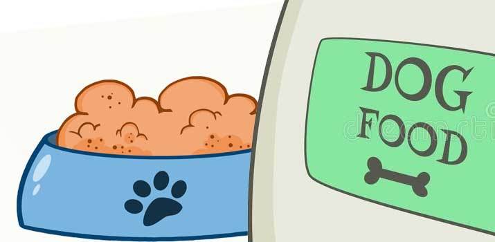 is dry dog food bad for dogs