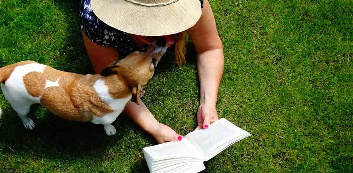 Artificial Grass for Dogs