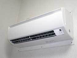 HVAC-system-mold-can-cause-allergies-in-dogs HVAC system mold can cause allergies in dogs