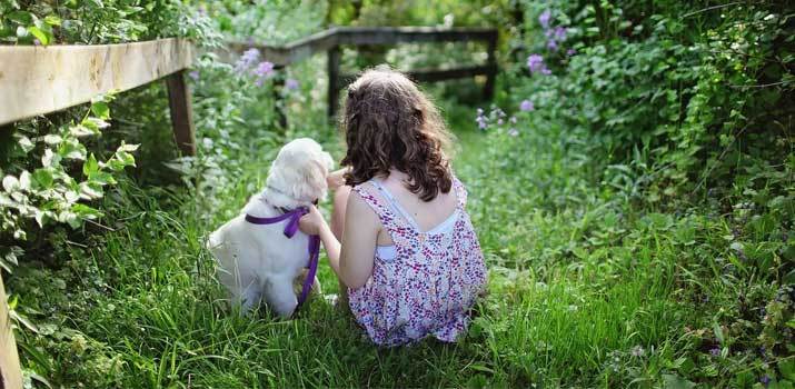 Young girl convinced her parents to get a dog