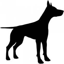 Horizontal-and-Stiff-dog-tail-position Horizontal and Stiff dog tail position