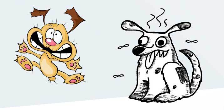 Ugly-Dogs Ugly Dogs