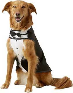 Frisco Formal Dog & Cat Tuxedo, Black