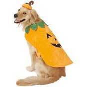 Frisco Pumpkin Dog & Cat Costume