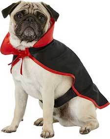 Frisco Vampire Cape Dog & Cat Costume