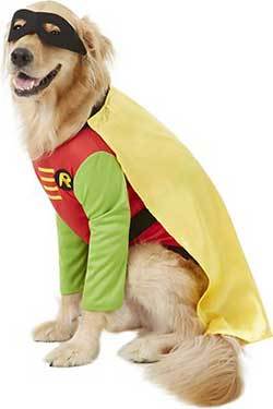 Rubie's Costume Company Robin Dog & Cat Costume