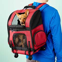 Gen7Pets Geometric Roller with Smart-Level Dog & Cat Carrier Backpack