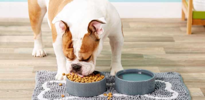 Dog Food Mat for Messy Eaters
