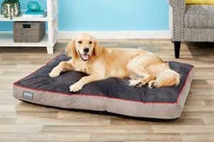 Better World Pets Orthopedic Pillow Dog Bed w/Removable Cover