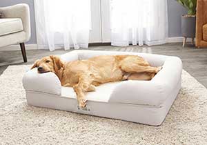PetFusion Ultimate Lounge Memory Foam Bolster Cat & Dog Bed w/Removable Cover
