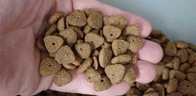 Nutro Ultra Senior Dry Dog Food kibble size