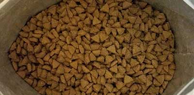 Wellness CORE Grain-Free Small Breed Turkey & Chicken kibble inspected from close by