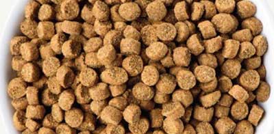 Wellness Small Breed Complete Health Puppy Dry dog food kibble size