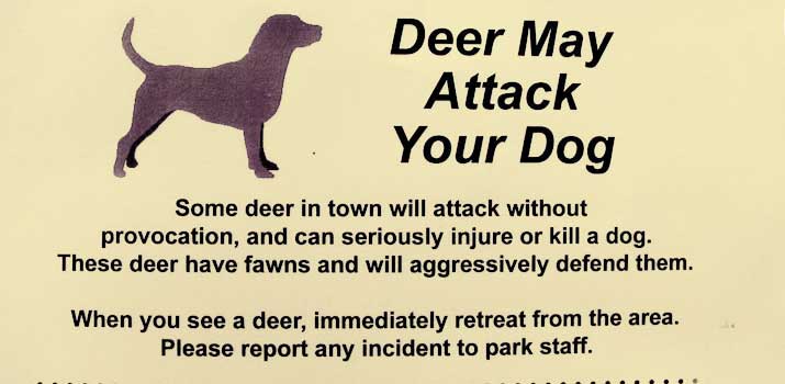 Warning sign saying that deer may attack a dog