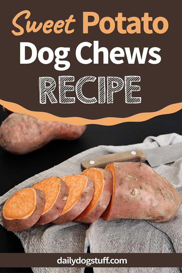 Easy DIY Sweet Potato Dog Chews 