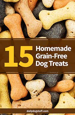 Homemade Grain-Free Dog Treats 15 Curated Recipes from Around the Web