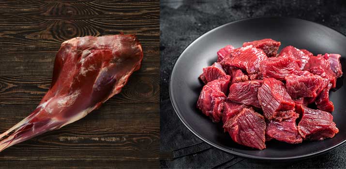 Raw deer leg and  raw Venison safe for dogs to eat
