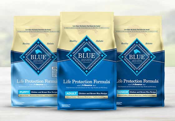BLUE LIFE PROTECTION line up