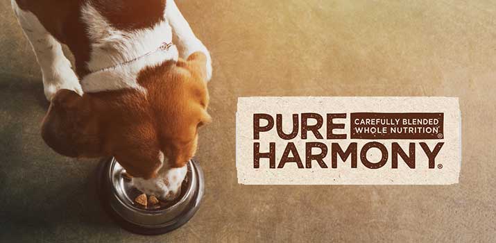Pure Harmony dog food tested
