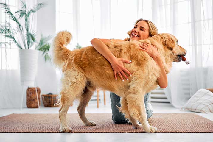 Huge dog getting a hug