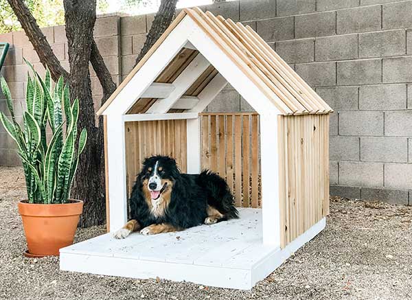 Luxury DIY Dog House